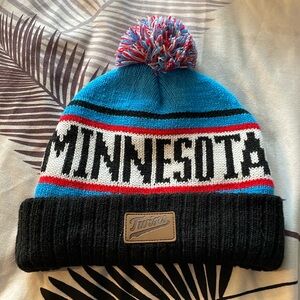 Minnesota twins beanie